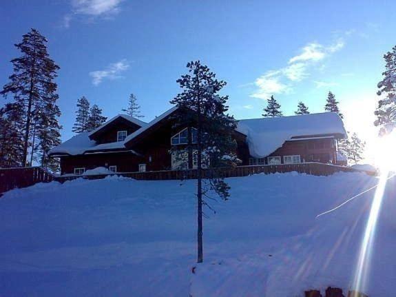 Flott Utleiehytte Pa Gautefall Treungen Exteriör bild